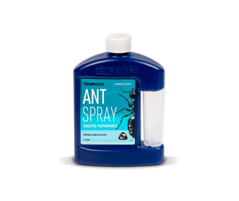 Ant Spray 