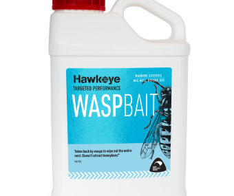 Wasp Bait 5L