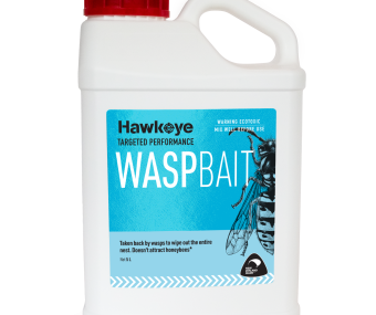 Wasp Bait 5L
