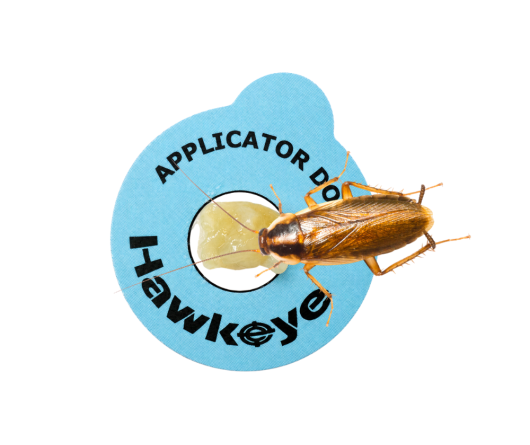 Web Organic Cockroach Bait Application Feeding