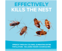Web Organic Cockroach Bait Kills the Nest Image Tile v2