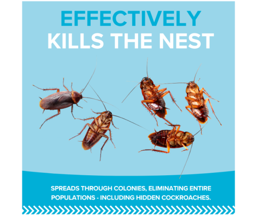 Web Organic Cockroach Bait Kills the Nest Image Tile v2